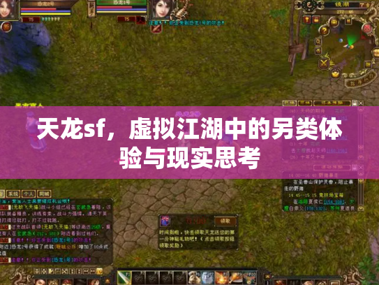 天龙sf，虚拟江湖中的另类体验与现实思考