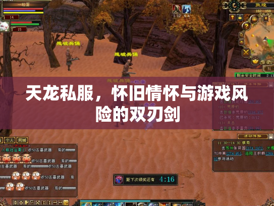 天龙私服，怀旧情怀与游戏风险的双刃剑