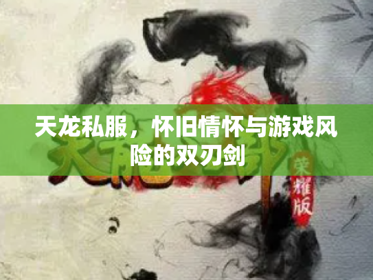 天龙私服，怀旧情怀与游戏风险的双刃剑