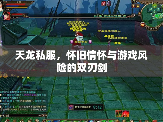 天龙私服，怀旧情怀与游戏风险的双刃剑