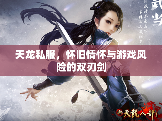 天龙私服，怀旧情怀与游戏风险的双刃剑