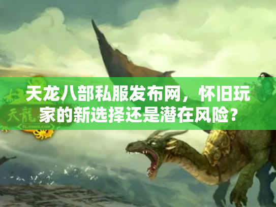 天龙八部私服发布网，怀旧玩家的新选择还是潜在风险？