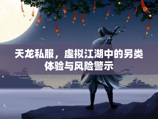天龙私服，虚拟江湖中的另类体验与风险警示