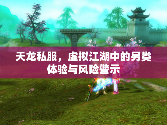 天龙私服，虚拟江湖中的另类体验与风险警示
