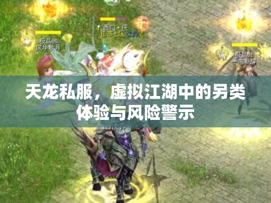 天龙私服，虚拟江湖中的另类体验与风险警示