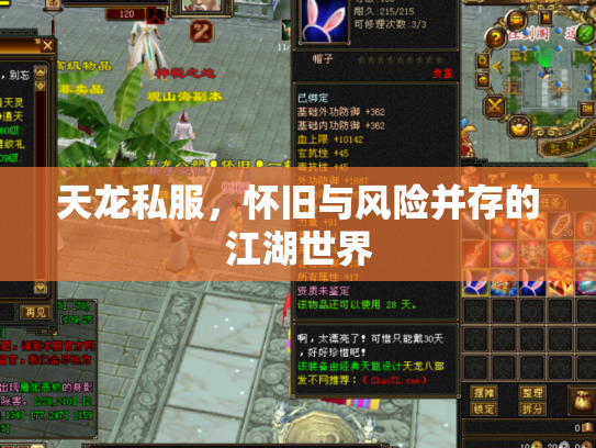 天龙私服，怀旧与风险并存的江湖世界