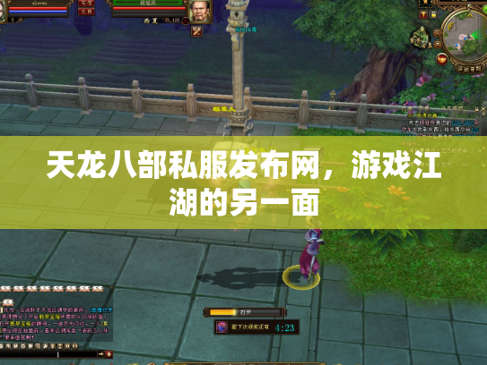 天龙八部私服发布网，游戏江湖的另一面