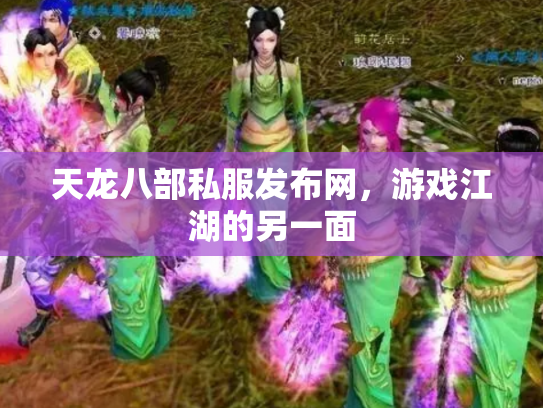 天龙八部私服发布网，游戏江湖的另一面