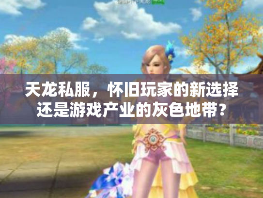 天龙私服，怀旧玩家的新选择还是游戏产业的灰色地带？