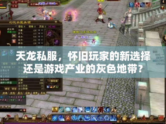 天龙私服，怀旧玩家的新选择还是游戏产业的灰色地带？