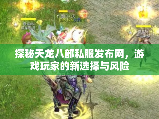 探秘天龙八部私服发布网，游戏玩家的新选择与风险
