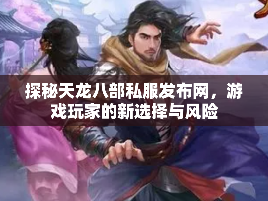 探秘天龙八部私服发布网，游戏玩家的新选择与风险