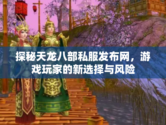 探秘天龙八部私服发布网，游戏玩家的新选择与风险