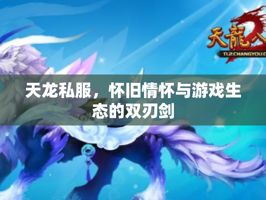 天龙私服，怀旧情怀与游戏生态的双刃剑