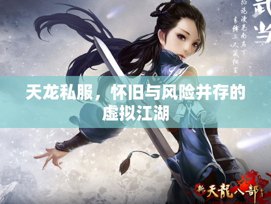 天龙私服，怀旧与风险并存的虚拟江湖