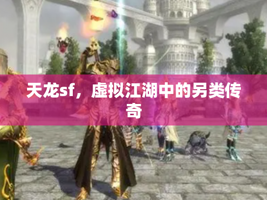 天龙sf，虚拟江湖中的另类传奇