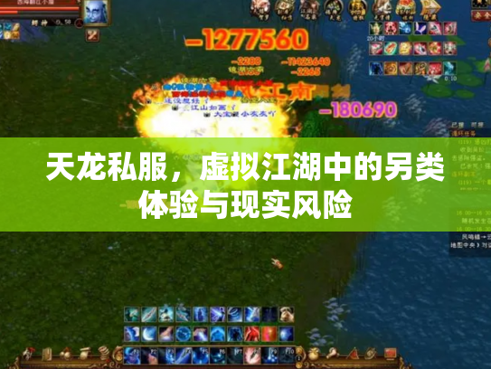 天龙私服，虚拟江湖中的另类体验与现实风险