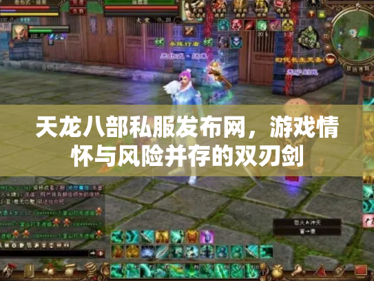 天龙八部私服发布网，游戏情怀与风险并存的双刃剑