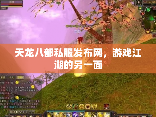 天龙八部私服发布网，游戏江湖的另一面