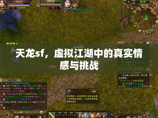 天龙sf，虚拟江湖中的真实情感与挑战