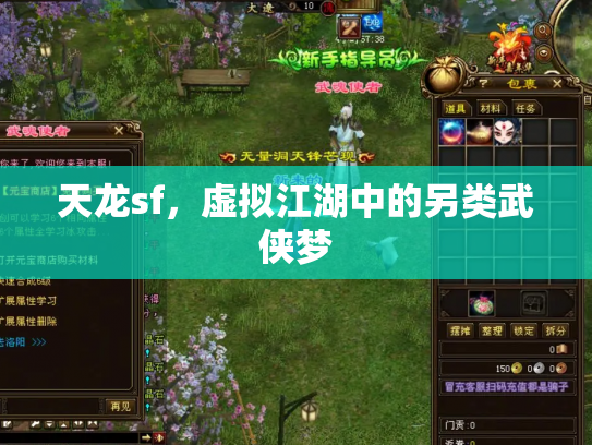 天龙sf，虚拟江湖中的另类武侠梦