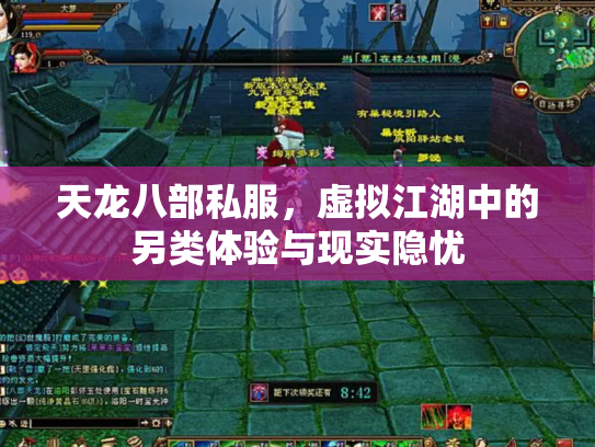 天龙八部私服，虚拟江湖中的另类体验与现实隐忧