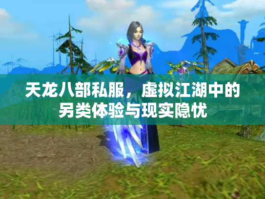 天龙八部私服，虚拟江湖中的另类体验与现实隐忧