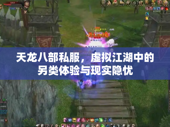 天龙八部私服，虚拟江湖中的另类体验与现实隐忧