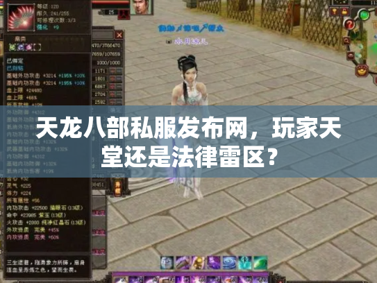 天龙八部私服发布网，玩家天堂还是法律雷区？