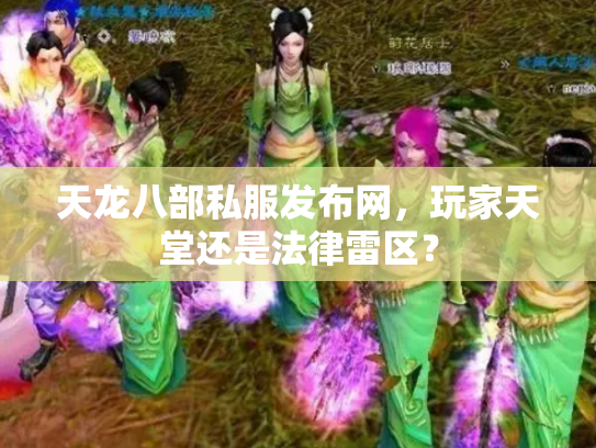 天龙八部私服发布网，玩家天堂还是法律雷区？