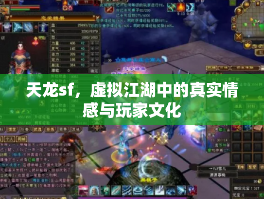 天龙sf，虚拟江湖中的真实情感与玩家文化