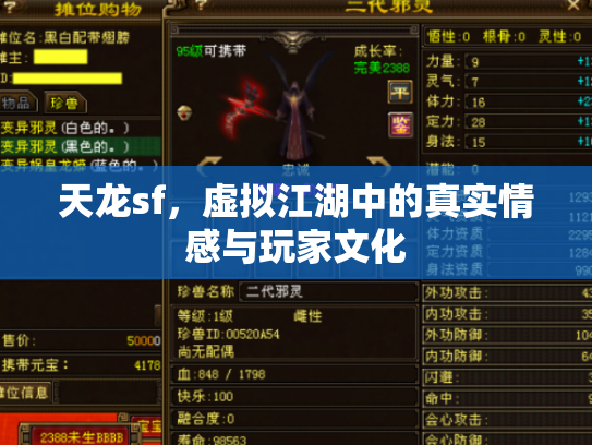 天龙sf，虚拟江湖中的真实情感与玩家文化