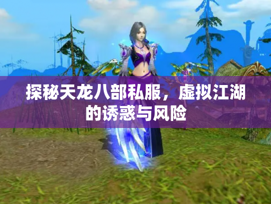 探秘天龙八部私服，虚拟江湖的诱惑与风险