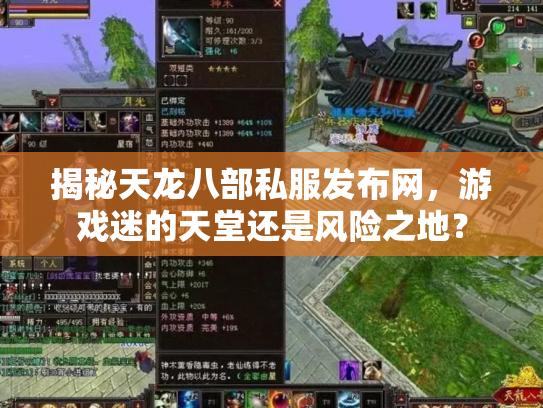 揭秘天龙八部私服发布网，游戏迷的天堂还是风险之地？