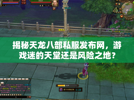 揭秘天龙八部私服发布网，游戏迷的天堂还是风险之地？
