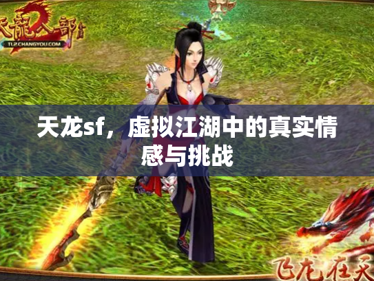 天龙sf，虚拟江湖中的真实情感与挑战