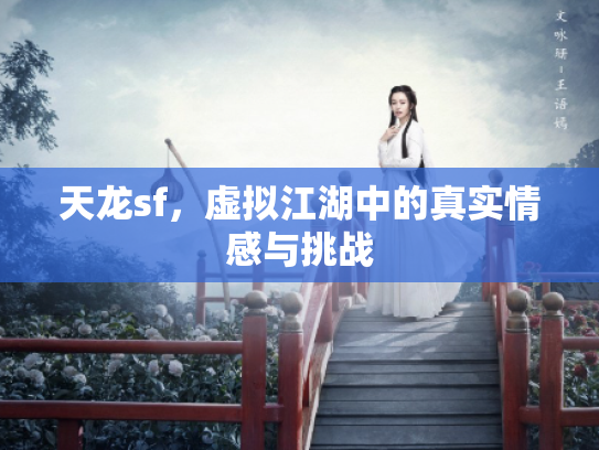 天龙sf，虚拟江湖中的真实情感与挑战