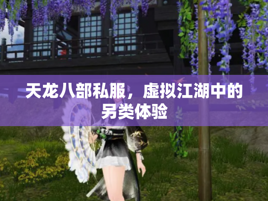 天龙八部私服，虚拟江湖中的另类体验