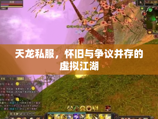 天龙私服，怀旧与争议并存的虚拟江湖