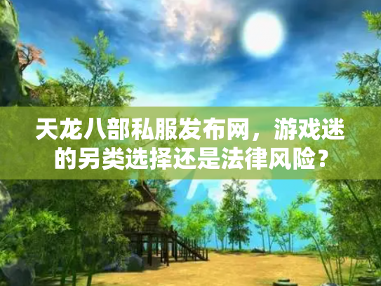 天龙八部私服发布网，游戏迷的另类选择还是法律风险？