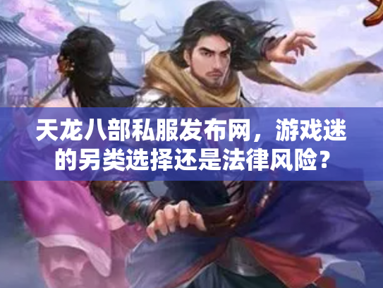 天龙八部私服发布网，游戏迷的另类选择还是法律风险？