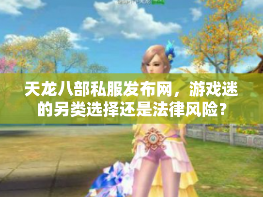 天龙八部私服发布网，游戏迷的另类选择还是法律风险？