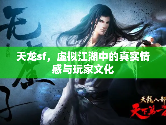 天龙sf，虚拟江湖中的真实情感与玩家文化