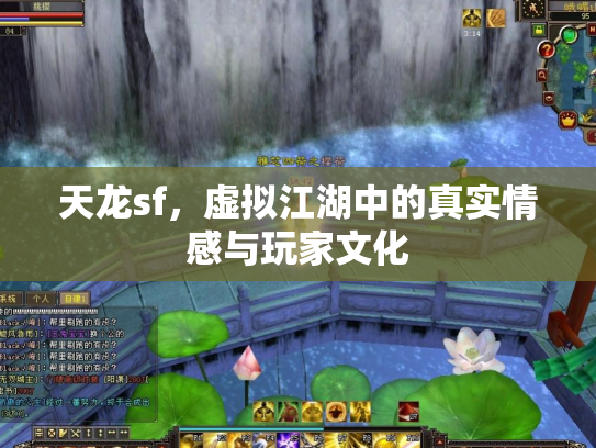 天龙sf，虚拟江湖中的真实情感与玩家文化
