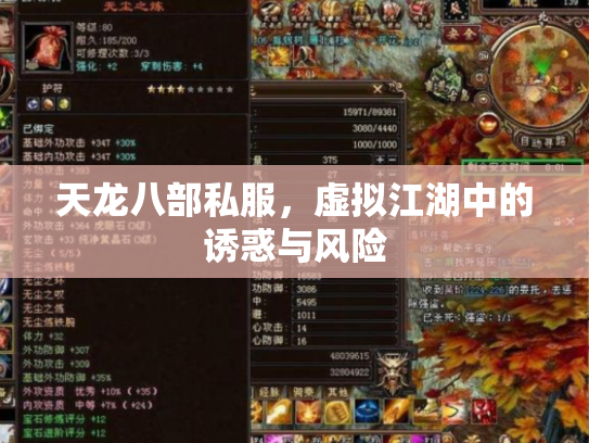 天龙八部私服，虚拟江湖中的诱惑与风险