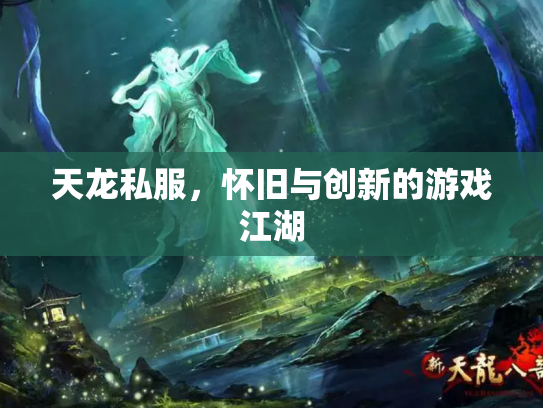 天龙私服，怀旧与创新的游戏江湖