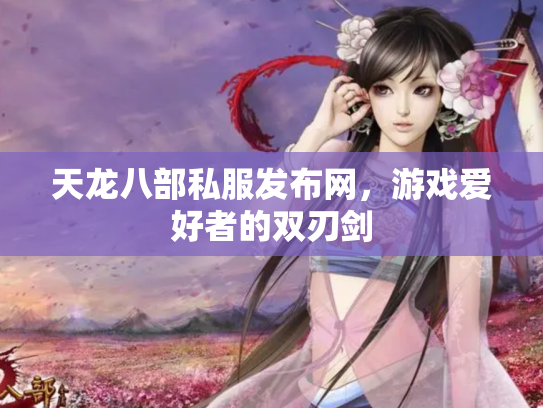 天龙八部私服发布网，游戏爱好者的双刃剑