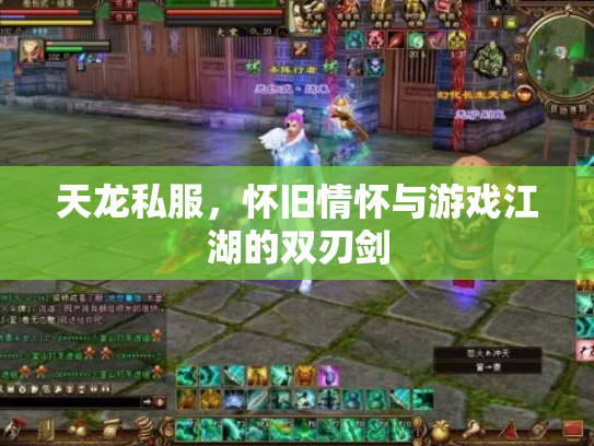 天龙私服，怀旧情怀与游戏江湖的双刃剑
