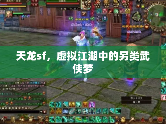 天龙sf，虚拟江湖中的另类武侠梦
