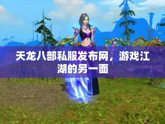 天龙八部私服发布网，游戏江湖的另一面